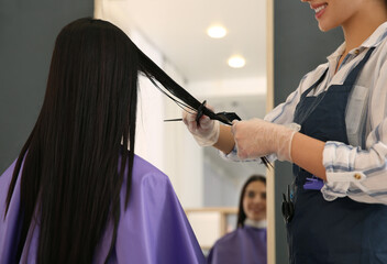 Professional hairdresser dying hair in beauty salon, closeup