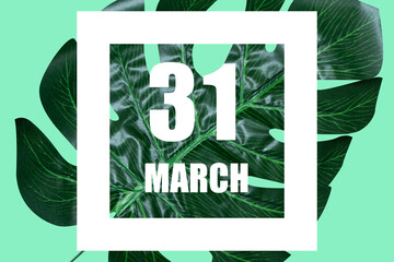 march 31st. Day 31of month,Date text in white frame against tropical monstera leaf on green background spring month, day of the year concept