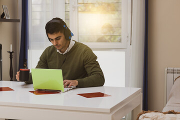 young businessman teleworking from home