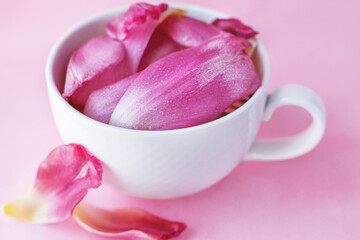 white cup full of fresh flowers petals of tulips on a pink background.