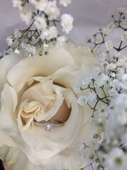 Rosa bianca e anello di fidanzamento