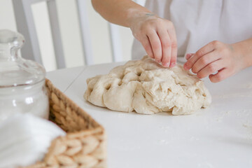 Making homemade pies or muffins and biscuits dough for breakfast or holiday. wheat flour, eggs