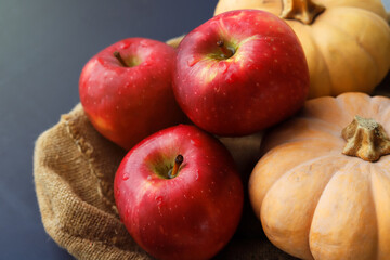 Fresh red apples and orange pumpkins close up, autumn composition