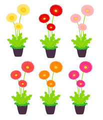 ガーベラの花苗ポット入りのイラスト