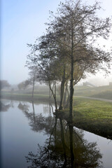Fototapeta na wymiar Ameland landscape Netherlands