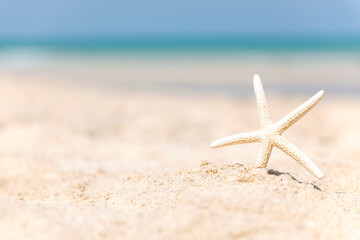Fototapeta na wymiar Closeup starfish on the sand beach background blue sky. Summer and Travel Concept.