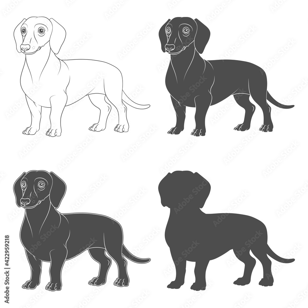 Aufkleber set of black and white illustrations with the image of a dachshund dog. isolated vector objects on a
