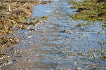 water flowing into the water