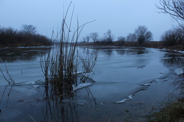 winter landscape overlooking the river in cold tones