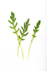 Green fresh arugula or ruccola leaves isolated on white background