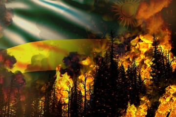 Forest fire natural disaster concept - infernal fire in the trees on Rwanda flag background - 3D illustration of nature