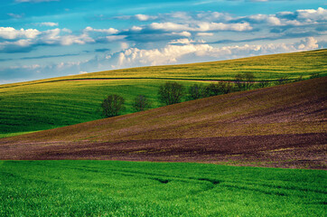 Rural spring landscape