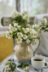 Jasmine flowers in a white vase. Stillife with jasmine and cup of coffee.