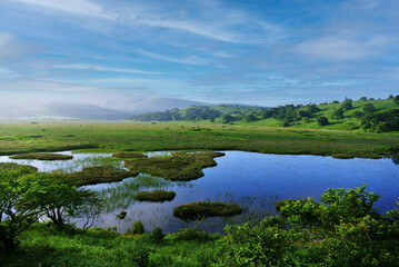 Fototapeta premium 長野県諏訪市霧ヶ峰八島湿原