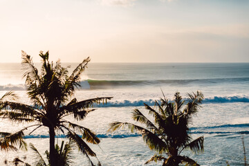 Big ocean waves for surfing and coconut palms in Bali