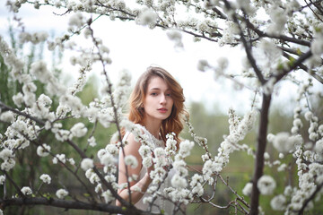 beautiful girl in a white dress walks in the garden, sakura blooming, spring bloom
