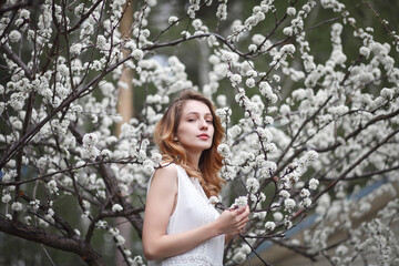 beautiful girl in a white dress walks in the garden, sakura blooming, spring bloom
