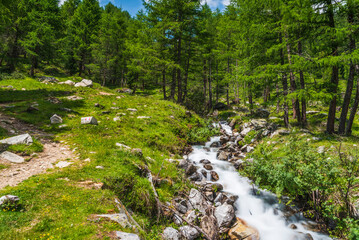 Immersion in the nature of the Ahrntal and Tures valleys