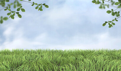 Green grass and and blue sky. Fresh spring backround. 3D illustration.