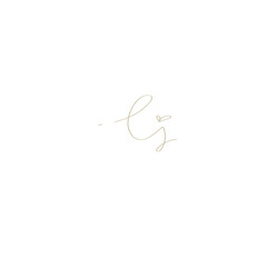ej handwritten logo for identity