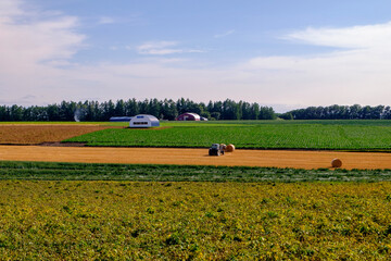 秋の北見市端野町の風景
