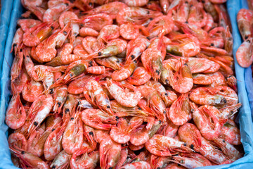 Frozen sea shrimp.  Boiled shrimp frozen for shipping.