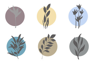 Flower silhouette on colorful round background set. Isolated vector