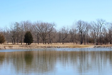 A peaceful view of the lake in the country on a sunny day.