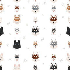 Siberian husky poses, coat colors seamless pattern.