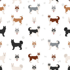 Siberian husky poses, coat colors seamless pattern. © a7880ss