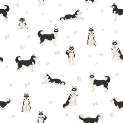 Siberian husky poses, coat colors seamless pattern. © a7880ss