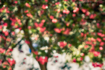 Reynolds Photography