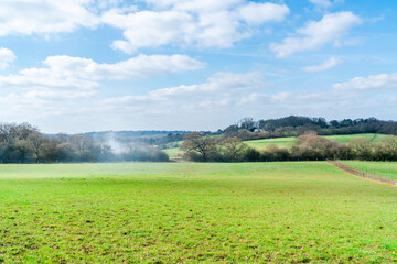 View of open space near Moat Mount Open Space
