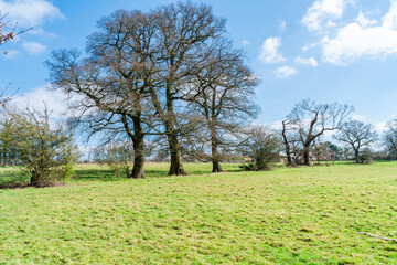 View of fields near Moat Mount Open Space