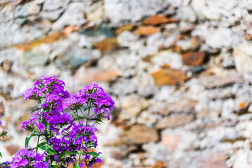 Glimpses of the ancient village of Ravascletto. Carnia