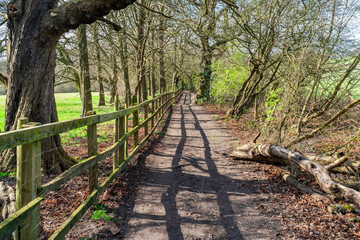 A path leading to Moat Mount Open Space
