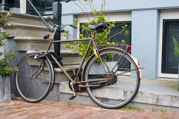 Fototapeta na wymiar flowers and bicycle in Amsterdam city