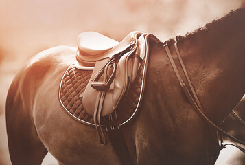 A bay horse with a braided mane is wearing a bridle and a leather saddle with a dark saddlecloth,...