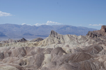 Desert Landscape