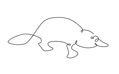 Platypus one line. Australian platypus in outline.