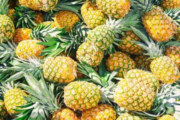 Fresh ripe pineapples as a background. Market in Dominican Republic
