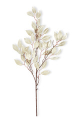 Tree branches, leaves, christmas decorations white cherry blossom isolated white background​ with​clipping path​
