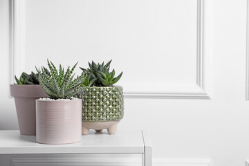 Beautiful Haworthia and Aloe in pots on white table, space for text. Different house plants