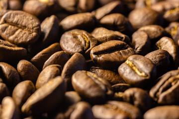 Many roasted coffee beans close up