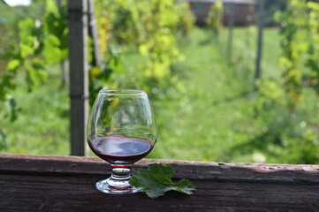 glass of white wine