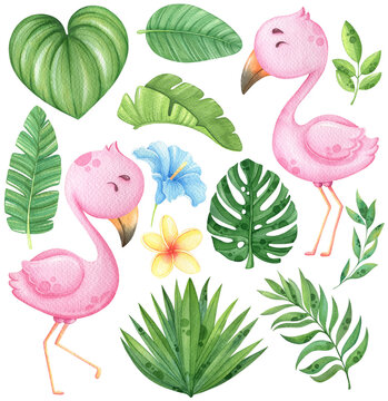 Watercolor flamingo and tropical leaves clip art