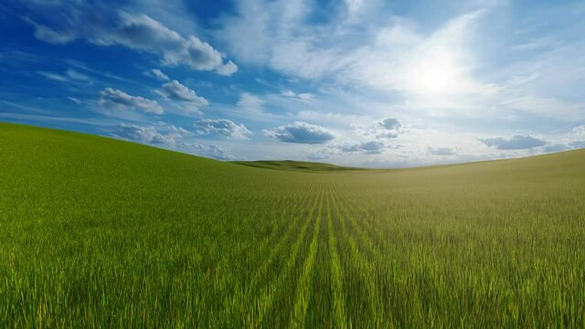 Green grass on hill animation with beautiful sky
