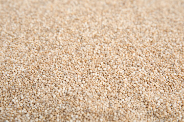 Pile of uncooked white quinoa as background, closeup