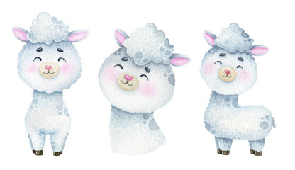 Watercolor cute white llamas on a white background. Illustration of an alpaca for printing
