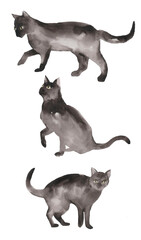 watercolor black and white cat